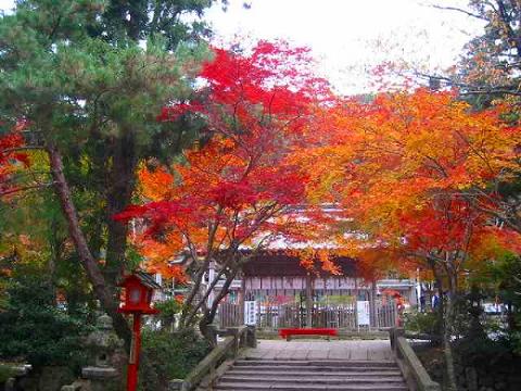 それでも私は幸せだった