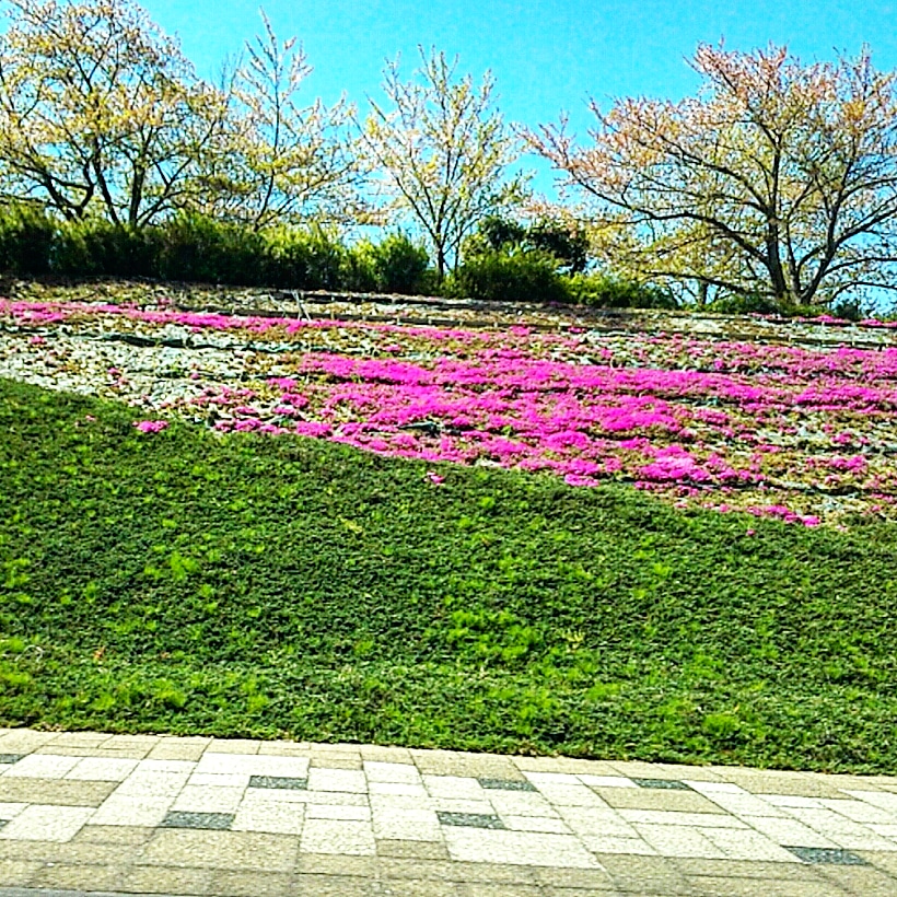 「遠足に行こう」