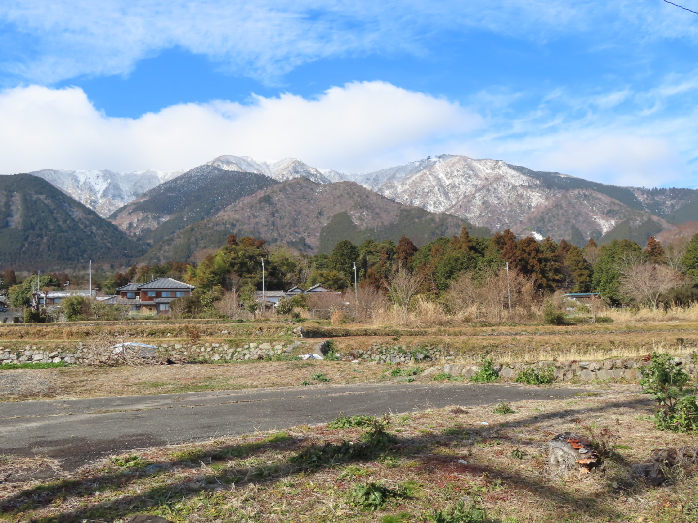 野鳥たちと雪山と水面