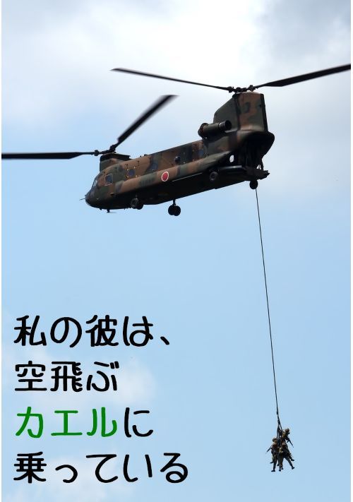 私の彼は、空飛ぶカエルに乗っている