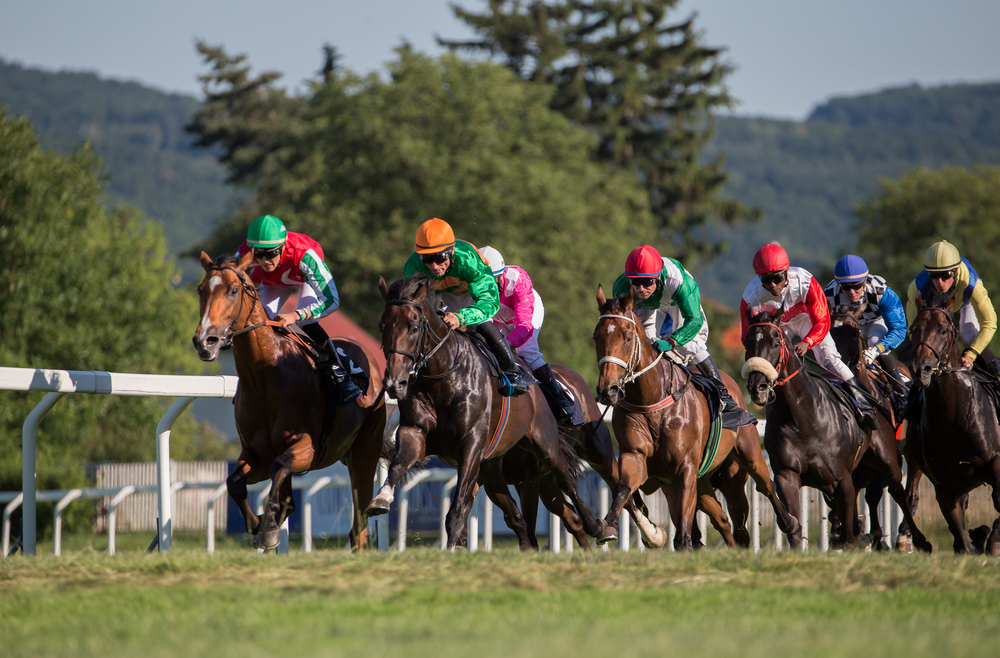 6 つの競馬場を訪れます