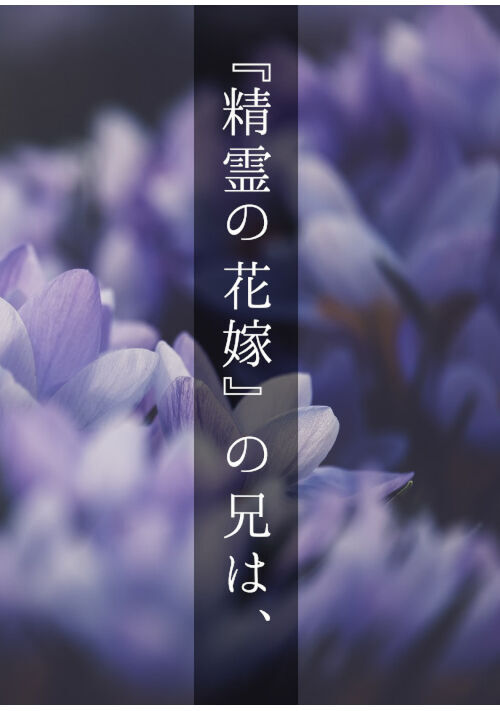 『精霊の花嫁』の兄は、騎士を諦めて悔いなく生きることにしました