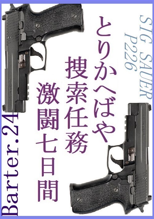とりかへばや捜索任務激闘七日間～Barter.24[番外編]～