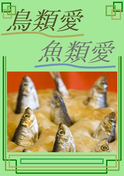 鳥類愛 魚類愛
