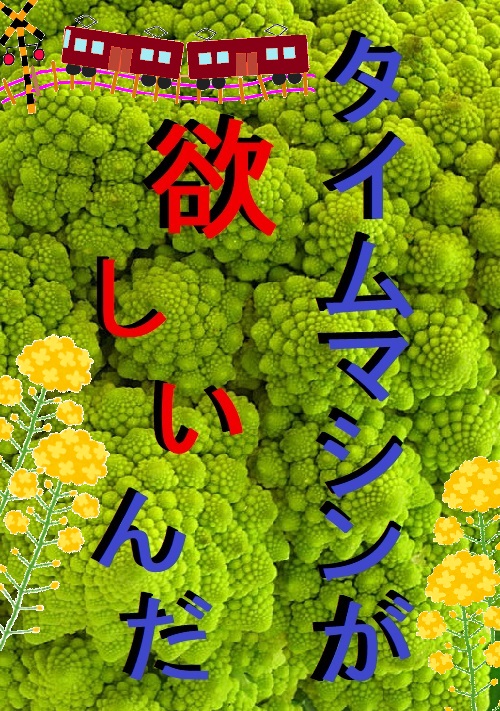 タイムマシンが欲しいんだ