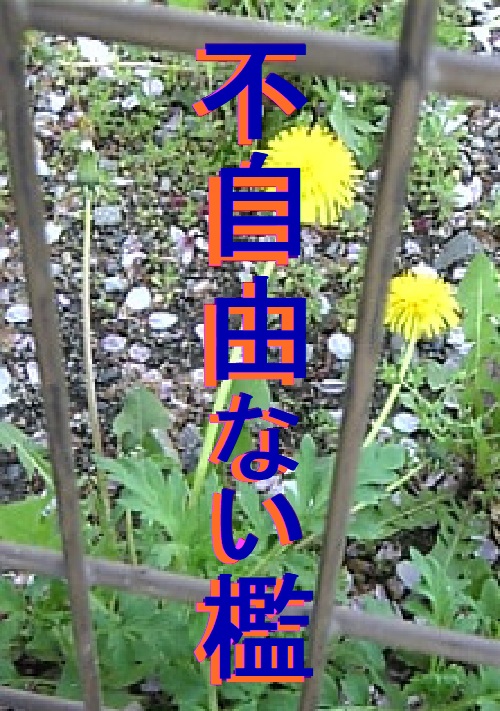 不自由ない檻